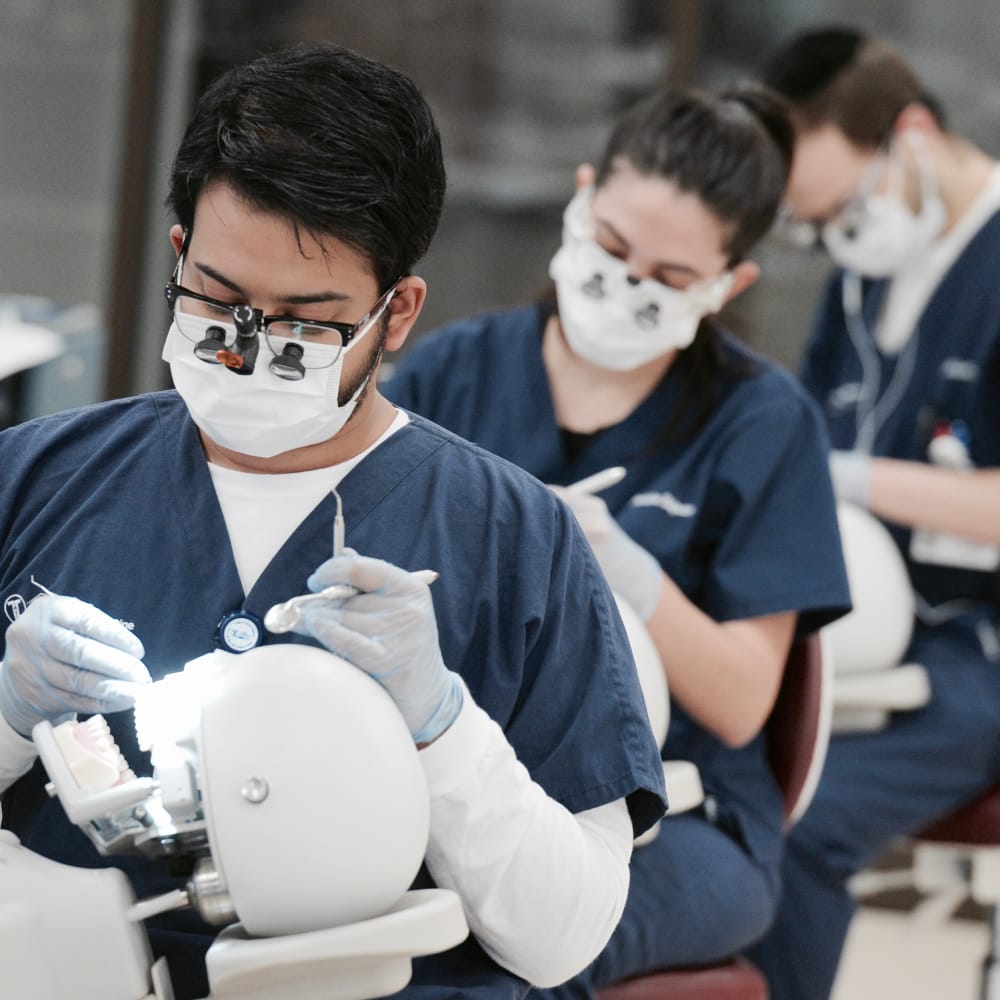 dental students practicing in sim lab
